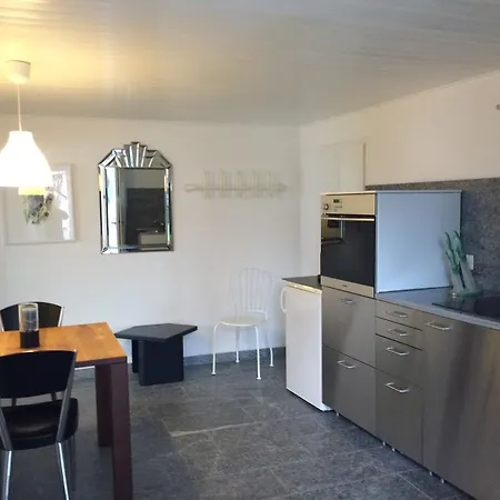 Apartment Casa Giacomo Brissago